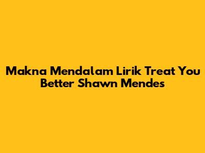 Makna Mendalam Lirik 'Treat You Better' Shawn Mendes