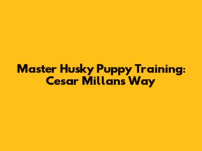 Master Husky Puppy Training: Cesar Millan's Way