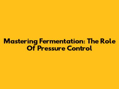 Mastering Fermentation: The Role Of Pressure Control