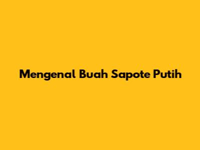 Mengenal Buah Sapote Putih