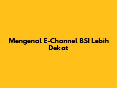 Mengenal E-Channel BSI Lebih Dekat