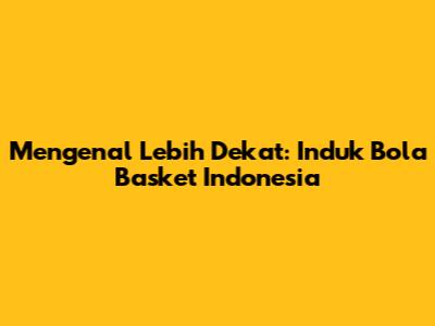 Mengenal Lebih Dekat: Induk Bola Basket Indonesia