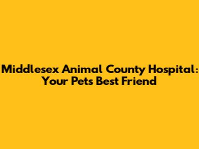 Middlesex Animal County Hospital: Your Pet's Best Friend