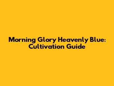 Morning Glory 'Heavenly Blue': Cultivation Guide