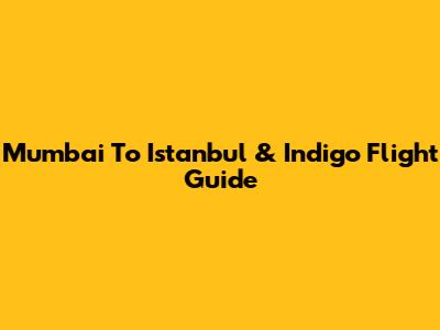 Mumbai To Istanbul & Indigo Flight Guide