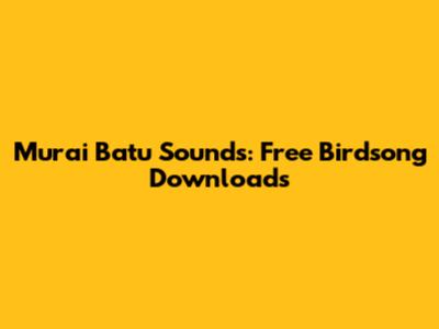 Murai Batu Sounds: Free Birdsong Downloads