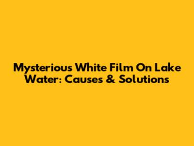 Mysterious White Film On Lake Water: Causes & Solutions