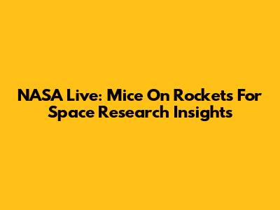 NASA Live: Mice On Rockets For Space Research Insights