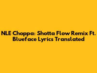NLE Choppa: Shotta Flow Remix Ft. Blueface Lyrics Translated