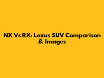 NX Vs RX: Lexus SUV Comparison & Images