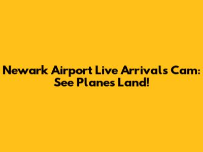 Newark Airport Live Arrivals Cam: See Planes Land!