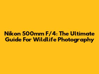 Nikon 500mm F/4: The Ultimate Guide For Wildlife Photography