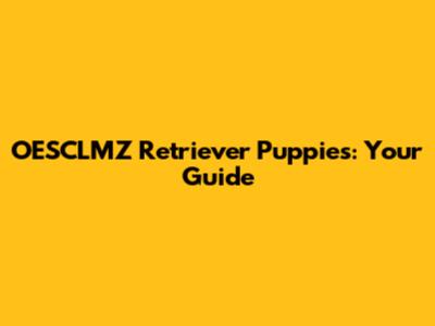 OESCLMZ Retriever Puppies: Your Guide