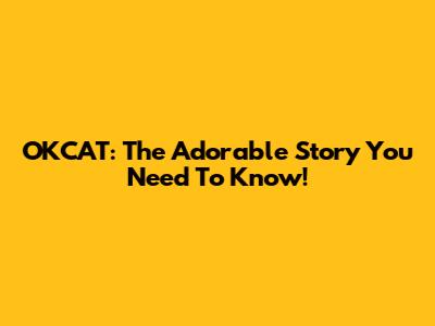 OKCAT: The Adorable Story You Need To Know!