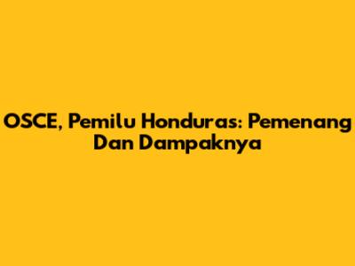 OSCE, Pemilu Honduras: Pemenang Dan Dampaknya