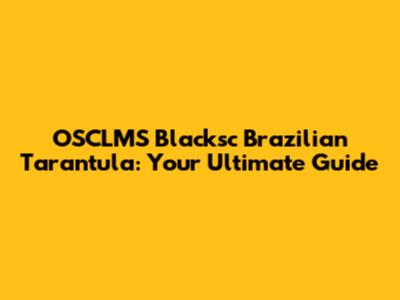 OSCLMS Blacksc Brazilian Tarantula: Your Ultimate Guide