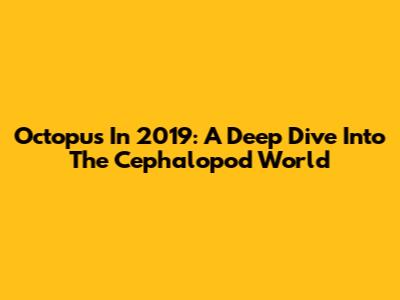 Octopus In 2019: A Deep Dive Into The Cephalopod World