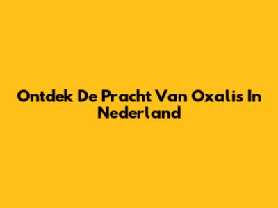 Ontdek De Pracht Van Oxalis In Nederland