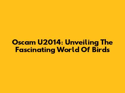 Oscam U2014: Unveiling The Fascinating World Of Birds