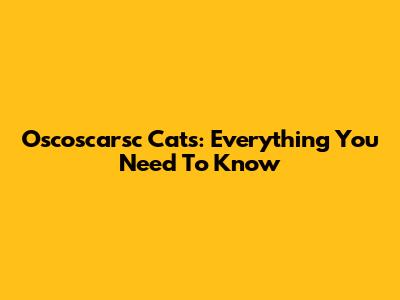 Oscoscarsc Cats: Everything You Need To Know