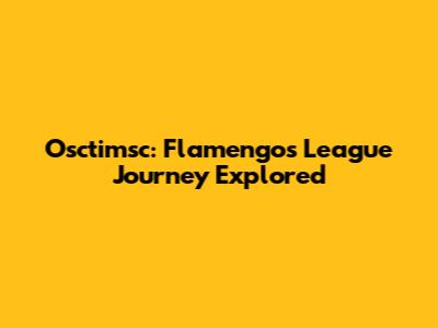 Osctimsc: Flamengo's League Journey Explored