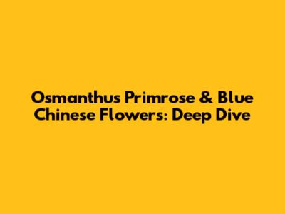 Osmanthus Primrose & Blue Chinese Flowers: Deep Dive