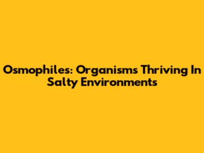 Osmophiles: Organisms Thriving In Salty Environments