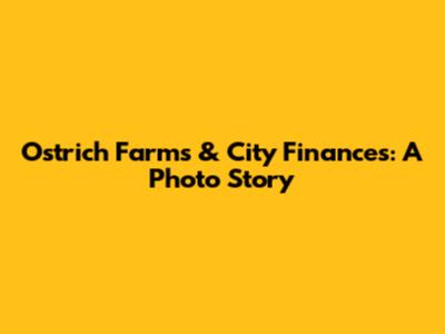 Ostrich Farms & City Finances: A Photo Story