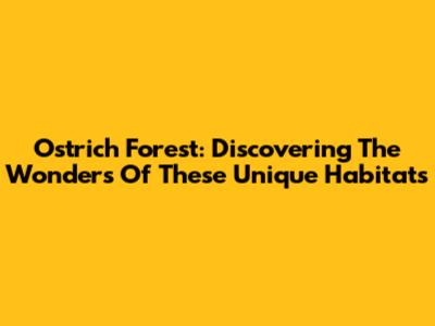 Ostrich Forest: Discovering The Wonders Of These Unique Habitats