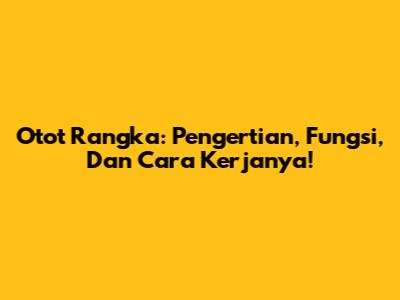 Otot Rangka: Pengertian, Fungsi, Dan Cara Kerjanya!