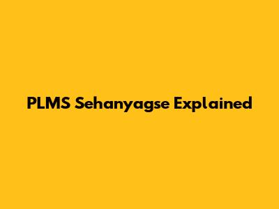 PLMS Sehanyagse Explained