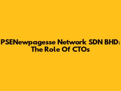 PSENewpagesse Network SDN BHD: The Role Of CTOs