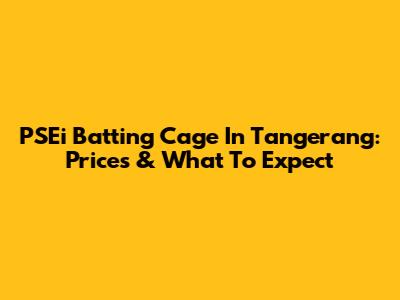 PSEi Batting Cage In Tangerang: Prices & What To Expect