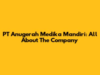 PT Anugerah Medika Mandiri: All About The Company