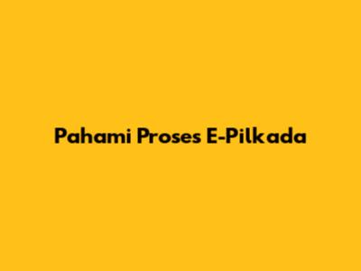 Pahami Proses E-Pilkada