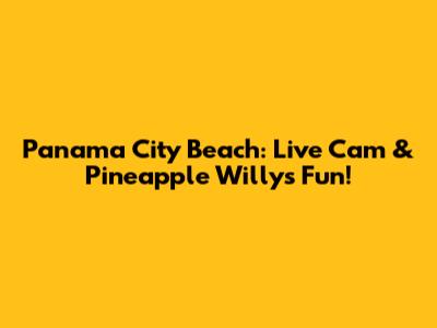 Panama City Beach: Live Cam & Pineapple Willy's Fun!