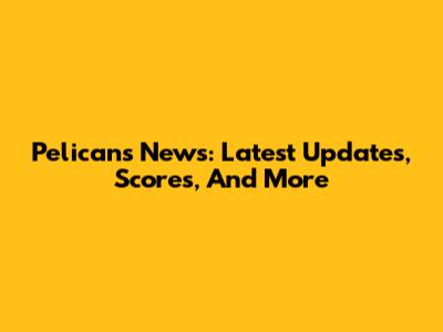 Pelicans News: Latest Updates, Scores, And More