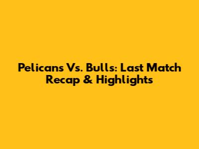 Pelicans Vs. Bulls: Last Match Recap & Highlights