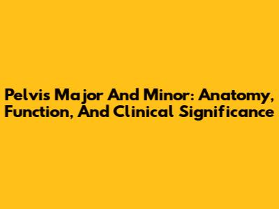 Pelvis Major And Minor: Anatomy, Function, And Clinical Significance