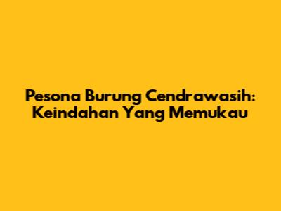 Pesona Burung Cendrawasih: Keindahan Yang Memukau
