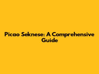 Picao Seknese: A Comprehensive Guide