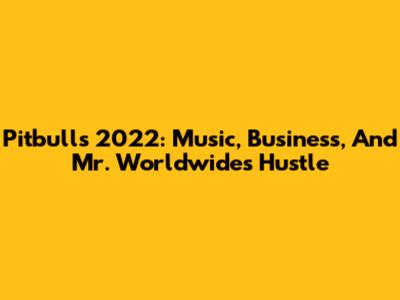 Pitbull's 2022: Music, Business, And Mr. Worldwide's Hustle