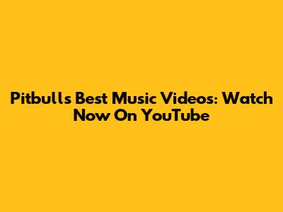 Pitbull's Best Music Videos: Watch Now On YouTube