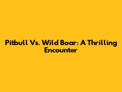 Pitbull Vs. Wild Boar: A Thrilling Encounter