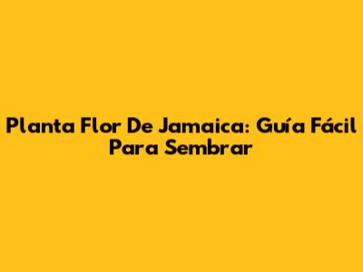 Planta Flor De Jamaica: Guía Fácil Para Sembrar