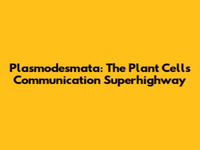 Plasmodesmata: The Plant Cell's Communication Superhighway
