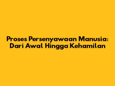 Proses Persenyawaan Manusia: Dari Awal Hingga Kehamilan