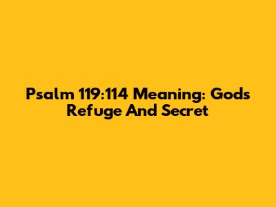 Psalm 119:114 Meaning: God's Refuge And Secret