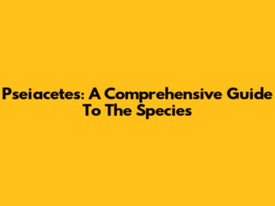 Pseiacetes: A Comprehensive Guide To The Species