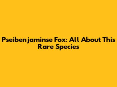 Pseibenjaminse Fox: All About This Rare Species